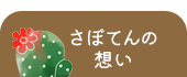 さぼてんの想い